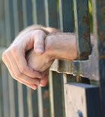 Thieves arrested and in jail for coin robbery