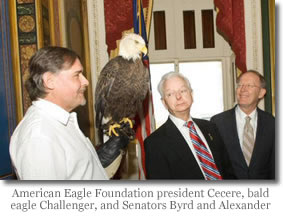 AEF Photo