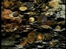 Spain Investigating Treasure Find Video