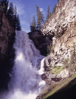 Yellowstone: Osprey Falls