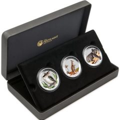 Kangaroo, Koala and Kookaburra Coins in Display Case