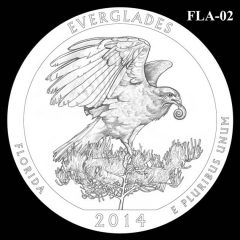 Everglades National Park - Quarter and Coin Design Candidate FLA-02