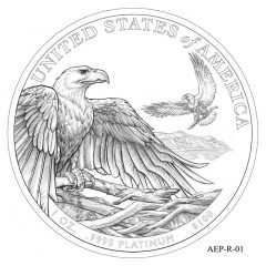 (AEP-01) 2013 American Platinum Eagle Design Candidate
