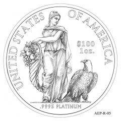 (AEP-05) 2013 American Platinum Eagle Design Candidate