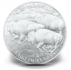 Canadian 2013 $100 Bison Silver Coin for $100