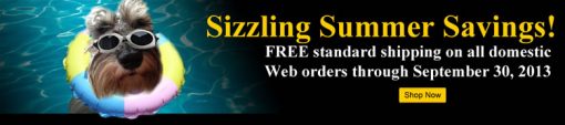 US Mint Banner Promoting Free Standard Shipping