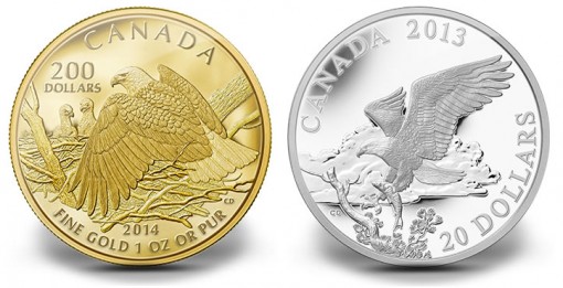 Canadian 2014 Bald Eagle Gold and Silver Coins