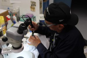 How the Philadelphia Mint Polishes Dies to Make Proof Coins