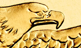 Section of American Gold Eagle Bullion Coin