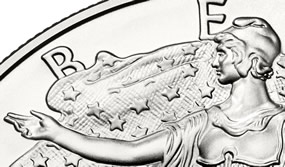 Section of American Silver Eagle Bullion Coin