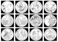 2014 American Platinum Eagle Design Candidates