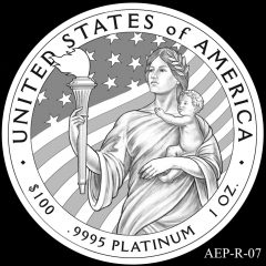 AEP-R-07 2014 American Platinum Eagle Design Candidate