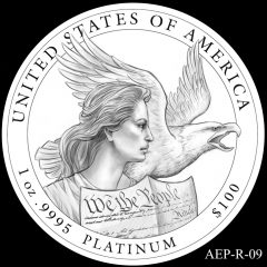 AEP-R-09 2014 American Platinum Eagle Design Candidate