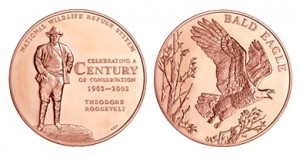 Bald Eagle bronze medal