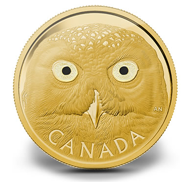 2014 Snowy Owl Gold Coin