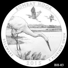 Bombay Hook National Wildlife Refuge Quarter and Coin Design Candidate BH-03