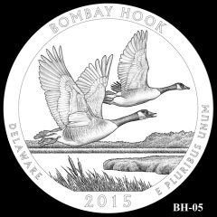 Bombay Hook National Wildlife Refuge Quarter and Coin Design Candidate BH-05