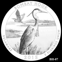 Bombay Hook National Wildlife Refuge Quarter and Coin Design Candidate BH-07