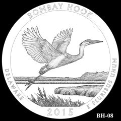 Bombay Hook National Wildlife Refuge Quarter and Coin Design Candidate BH-08