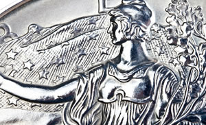 Close Up of Silver Eagle