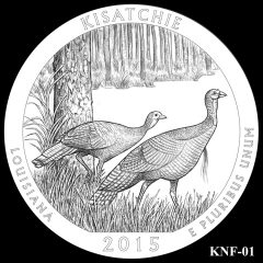 Kisatchie National Forest Quarter and Coin Design Candidate KNF-01