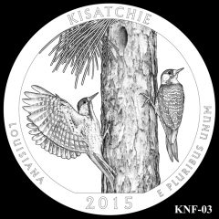 Kisatchie National Forest Quarter and Coin Design Candidate KNF-03