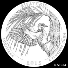 Kisatchie National Forest Quarter and Coin Design Candidate KNF-04