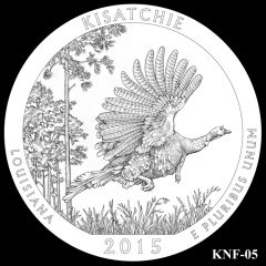 Kisatchie National Forest Quarter and Coin Design Candidate KNF-05