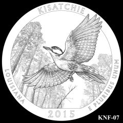 Kisatchie National Forest Quarter and Coin Design Candidate KNF-07