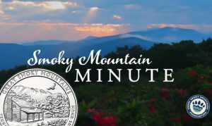 Smoky Mountains Scene and Quarter