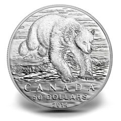 Canadian 2014 $50 Polar Bear Silver Coin for $50