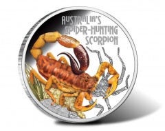 Spider-Hunting Scorpion Coin 9th in Deadly and Dangerous Series