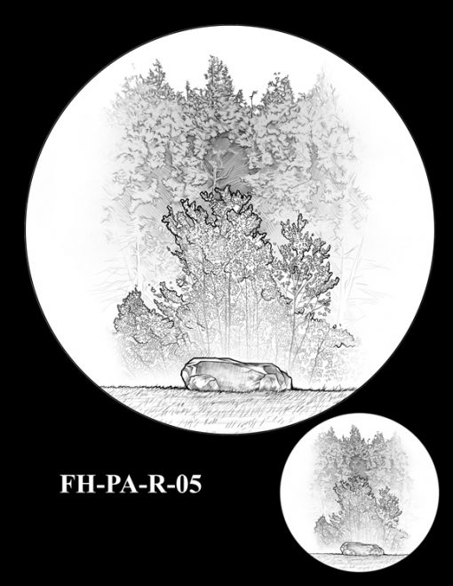 Fallen Heroes Flight 93 Medal Design Candidate FH-PA-R-05