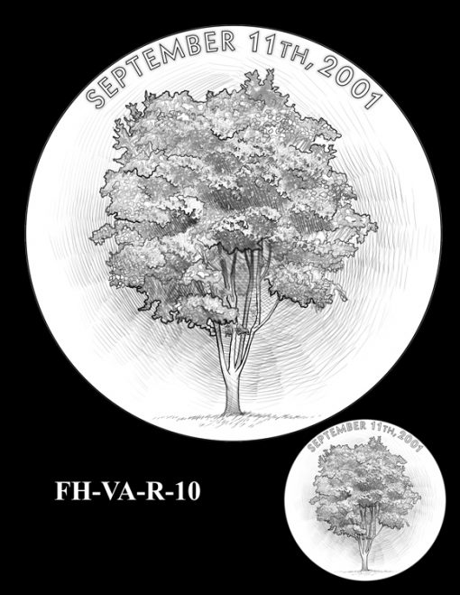 Fallen Heroes Pentagon Memorial Medal Design Candidate FH-VA-R-10