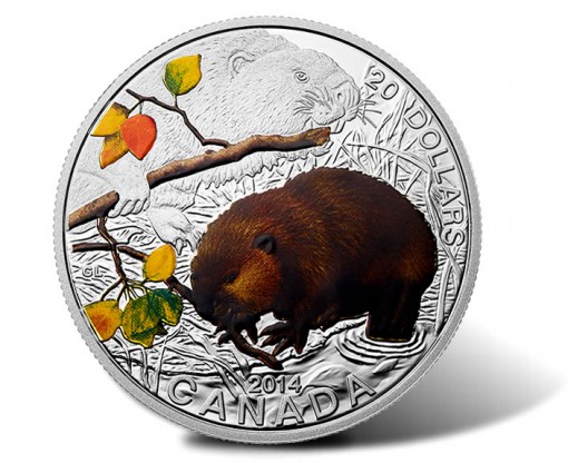 2014 Baby Beaver Coin - Reverse