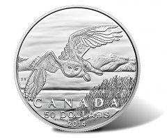 Canadian 2014 $50 Snowy Owl Silver Coin for $50