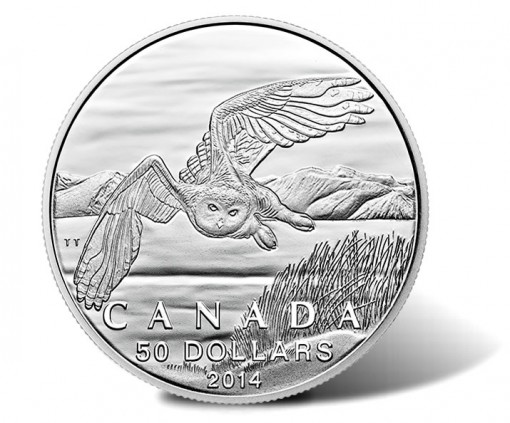 Canadian 2014 $50 Snowy Owl Silver Coin