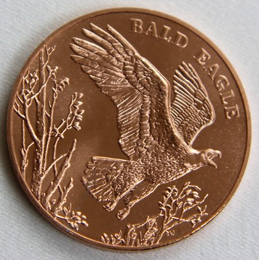 2013 Bald Eagle National Wildlife Refuge System Centennial Bronze Medal - Reverse