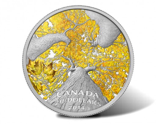 2014 Autumn Allure Silver Coin from Canadian Maple Canopy Series