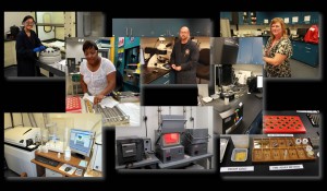Assaying Gold at the West Point Mint