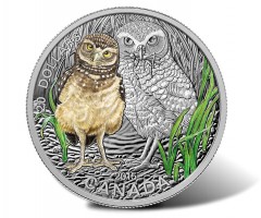 2015 Baby Burrowing Owl Coin 3rd in Canadian Baby Animal Series