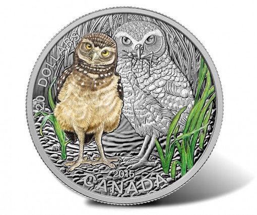 2015 $20 Baby Burrowing Owl 1 oz Fine Silver Coin