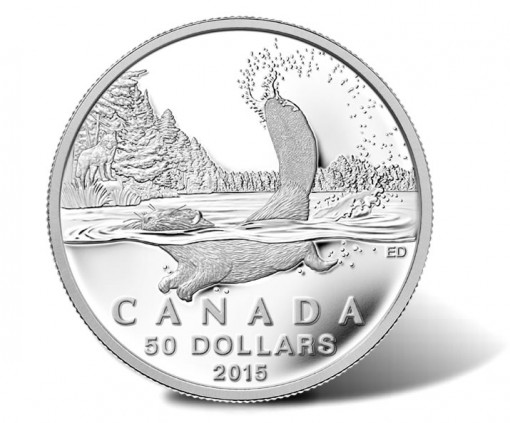 Canadian 2015 $50 Beaver Silver Coin