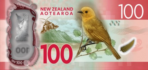 New Zealand $100 Note - Back
