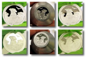 2016 Shawnee National Forest Quarter Photos
