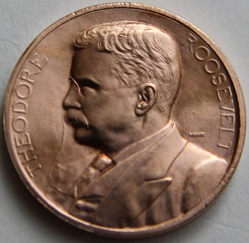 Theodore Roosevelt Bronze Medal, Obverse