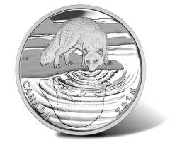 Canadian 2016 Arctic Fox Wildlife Reflections Silver Proof Coin