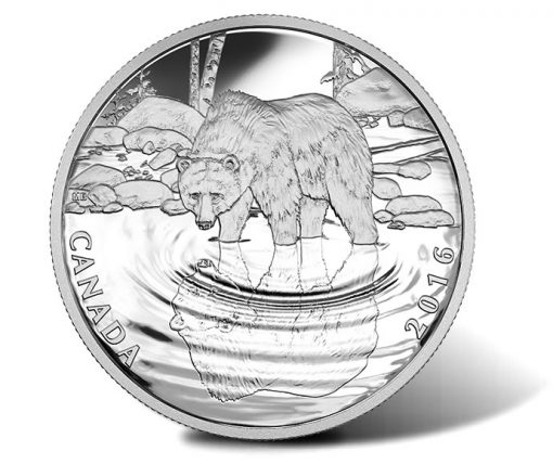 Canadian 2016 Grizzly Bear Wildlife Reflections Silver Proof Coin