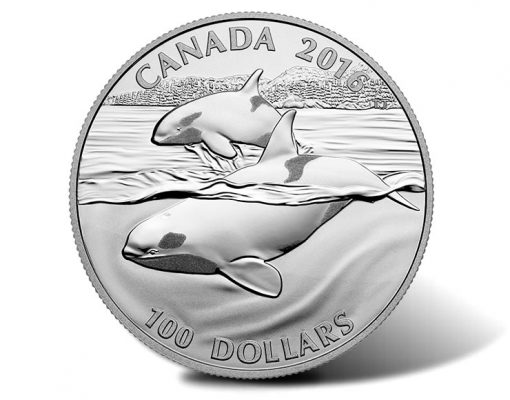 Canadian 2016 $100 Orca Silver Coin
