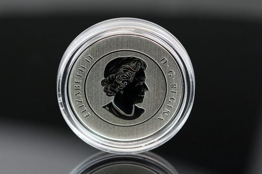 Canadian 2016 $25 True North Silver Coin, Obverse
